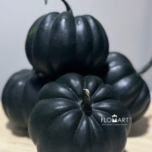 Pumpkin Midi Black