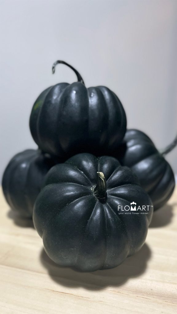 Pumpkin Midi Black