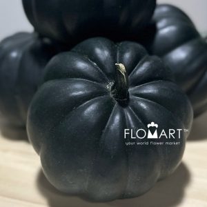 Pumpkin Midi Black - Image 2