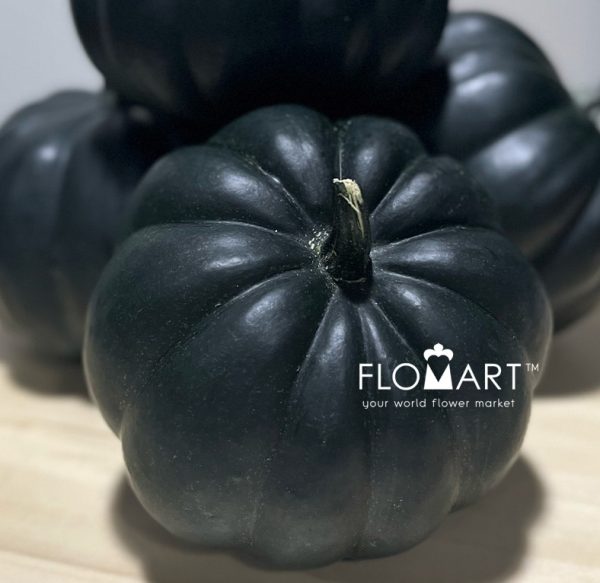 Pumpkin Midi Black
