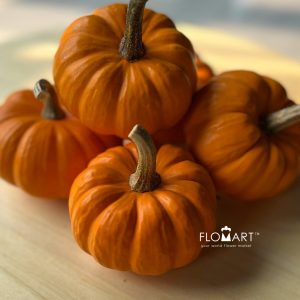 Pumpkin Mini Orange