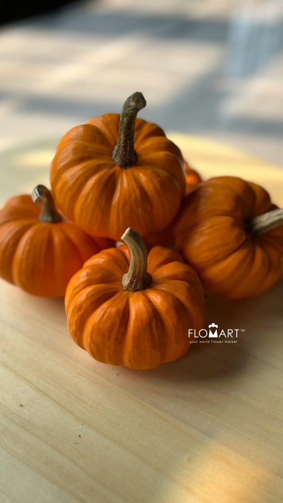 Pumpkin Mini Orange