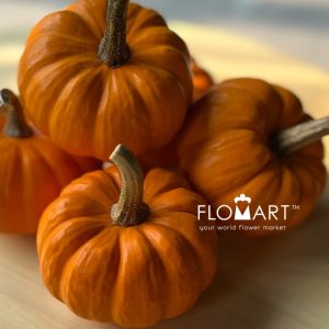Pumpkin Mini Orange - Image 2