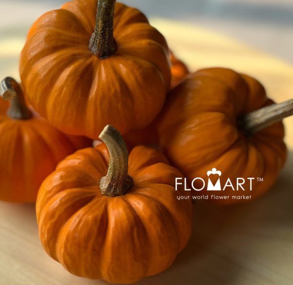 Pumpkin Mini Orange