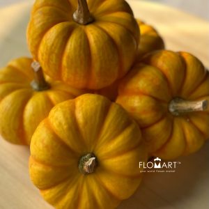 Pumpkin Mini Stripe Yellow