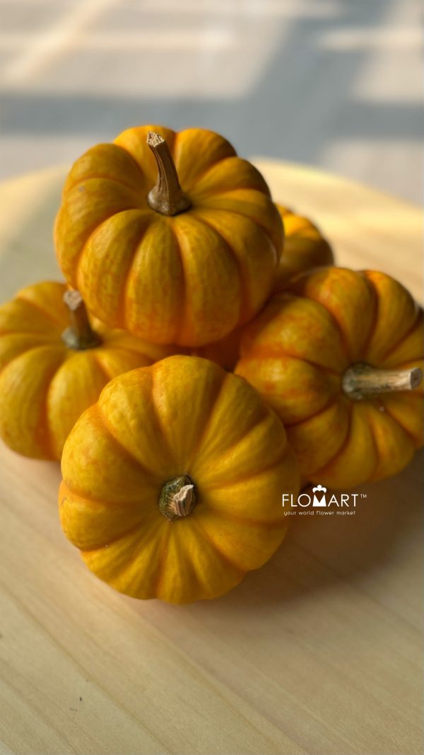 Pumpkin Mini Stripe Yellow Pumpkin Mini Stripe Yellow