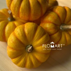 Pumpkin Mini Stripe Yellow - Image 2