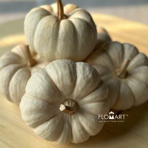 Pumpkin Mini White