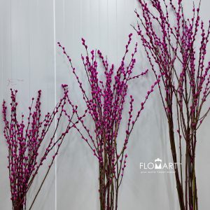 Pussy Willow Spray Pink