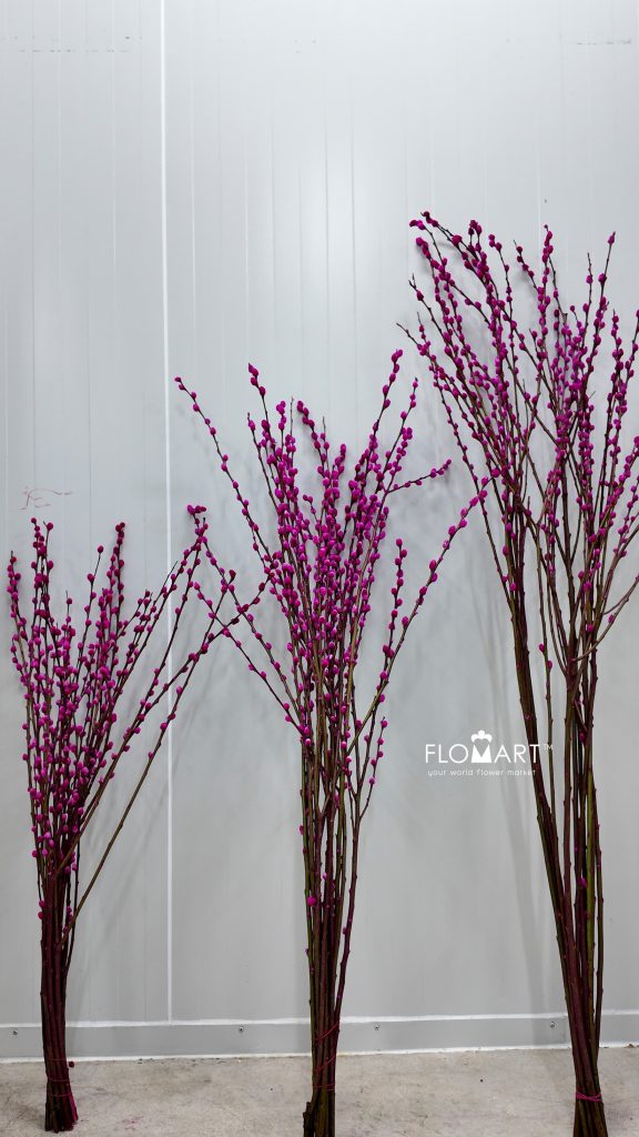 Pussy Willow Spray Pink