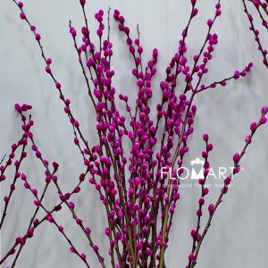 Pussy Willow Spray Pink - Image 2