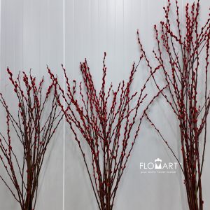 Pussy Willow Spray Red