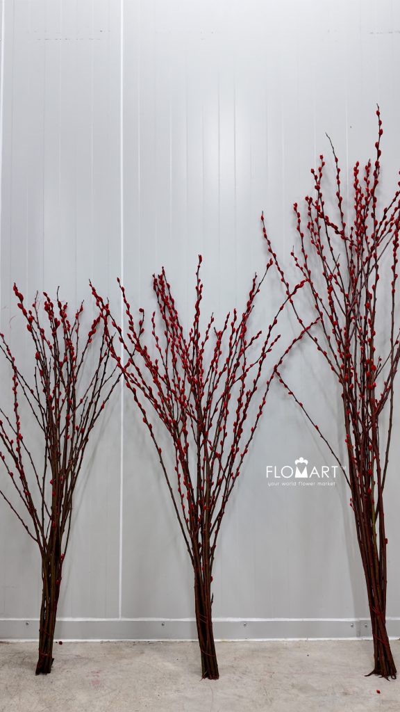 Pussy Willow Spray Red
