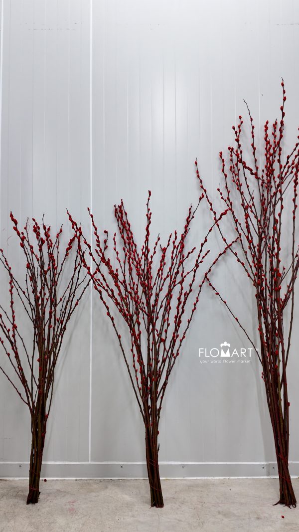 Pussy Willow Spray Red Pussy Willow Spray Red
