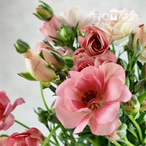Ranunculus Butterfly double Salmon - Image 2