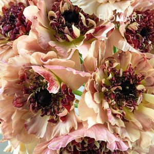 Ranunculus Charlotte Beige - Image 2