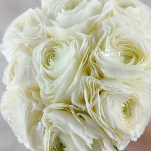 Ranunculus Kirameki Super