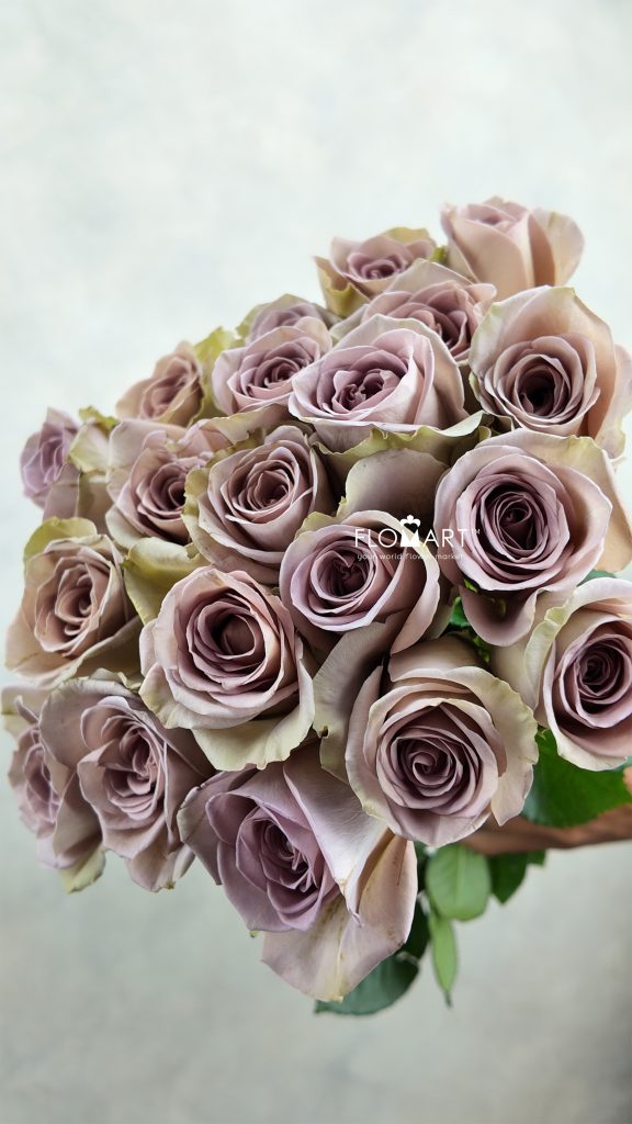 Rosa Amnesia