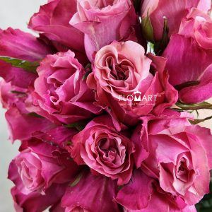 Rosa Art Deco