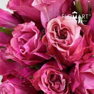 Rosa Art Deco - Image 2