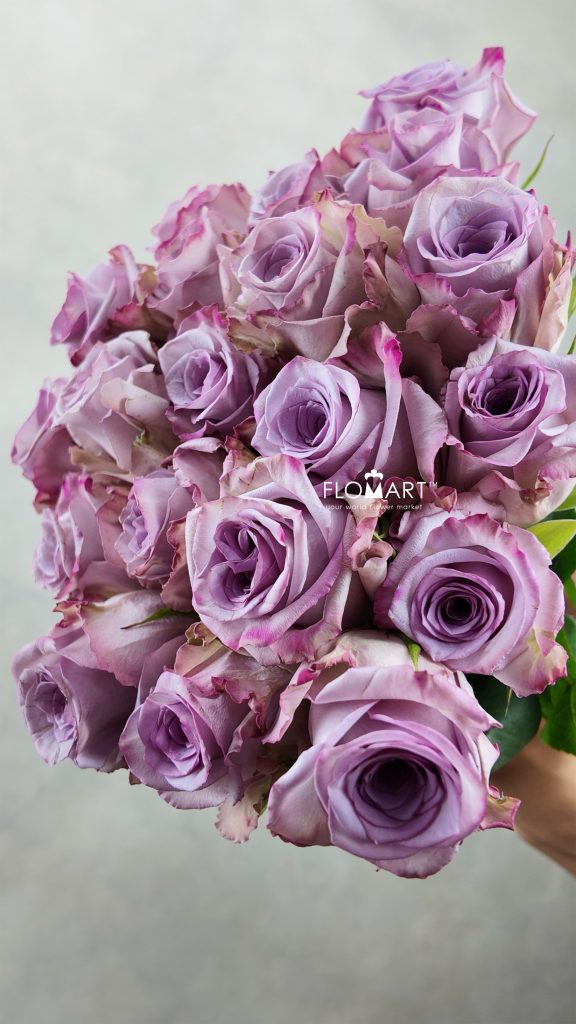 Rosa Avant Garde