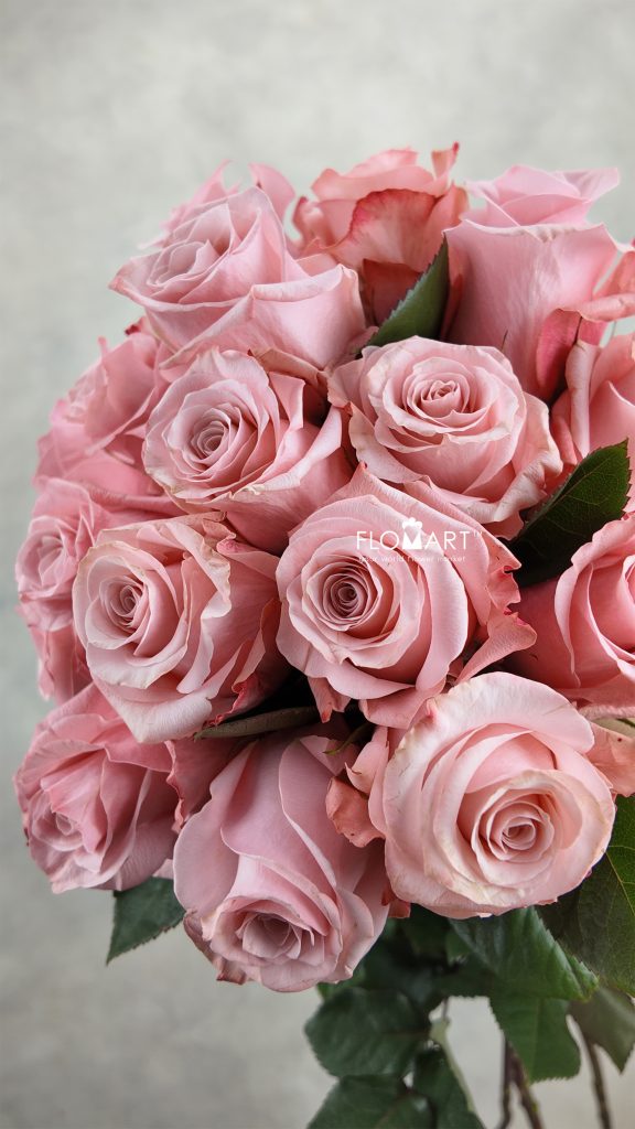 Rosa Be Sweet