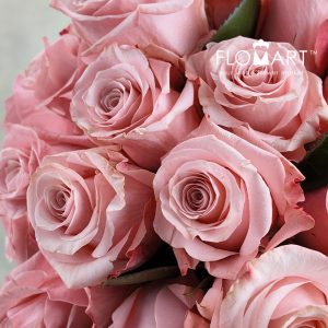 Rosa Be Sweet - Image 2