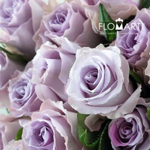 Rosa Blue Dream - Image 2
