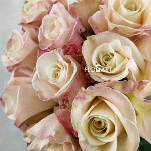 Rosa Bone