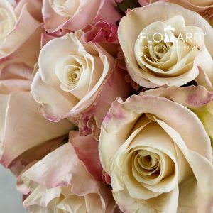 Rosa Bone - Image 2