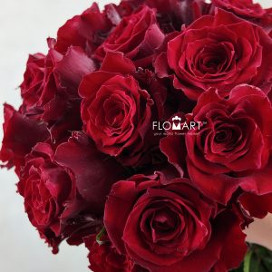 Rosa Born