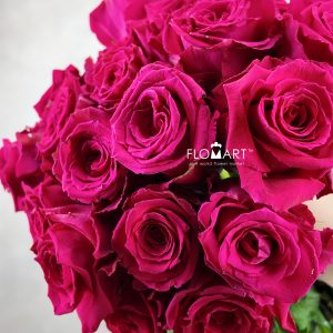 Rosa Born Beauty