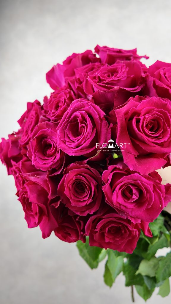 Rosa Born Beauty
