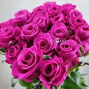Rosa Breezer