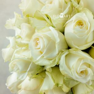 Rosa Candle Light