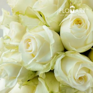 Rosa Candle Light - Image 2
