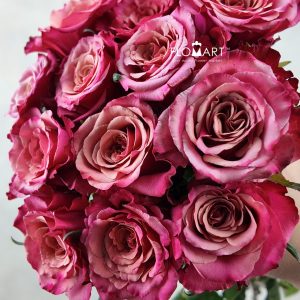 Rosa Cold Brew