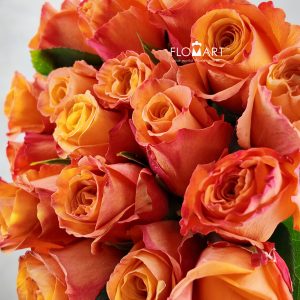 Rosa Confidential