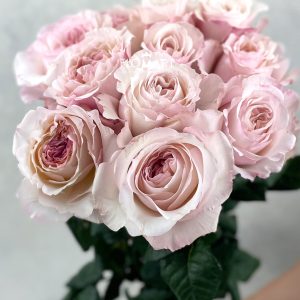 Rosa DA Keira
