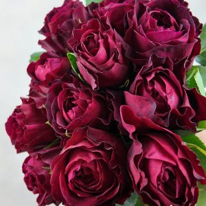 Rosa DA Tess