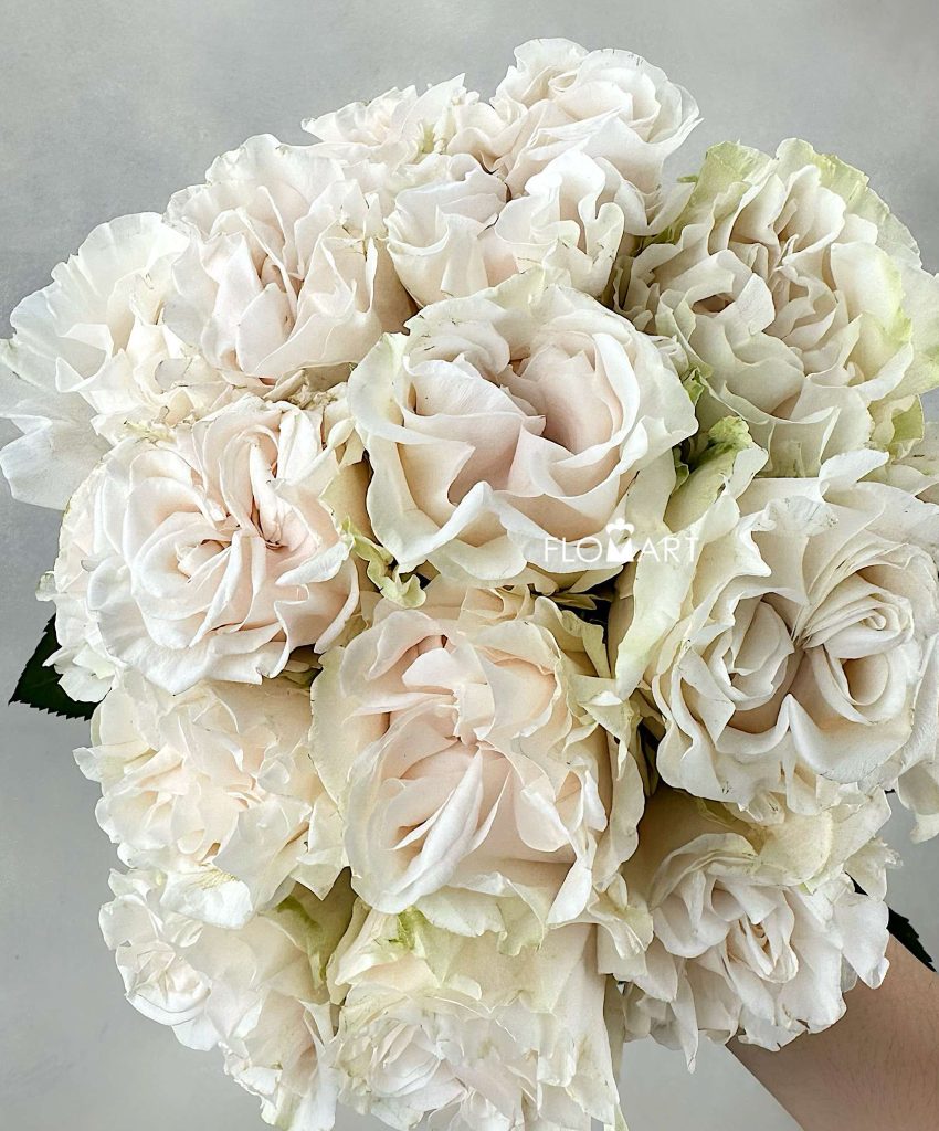 Rosa Garden Cotton XPression