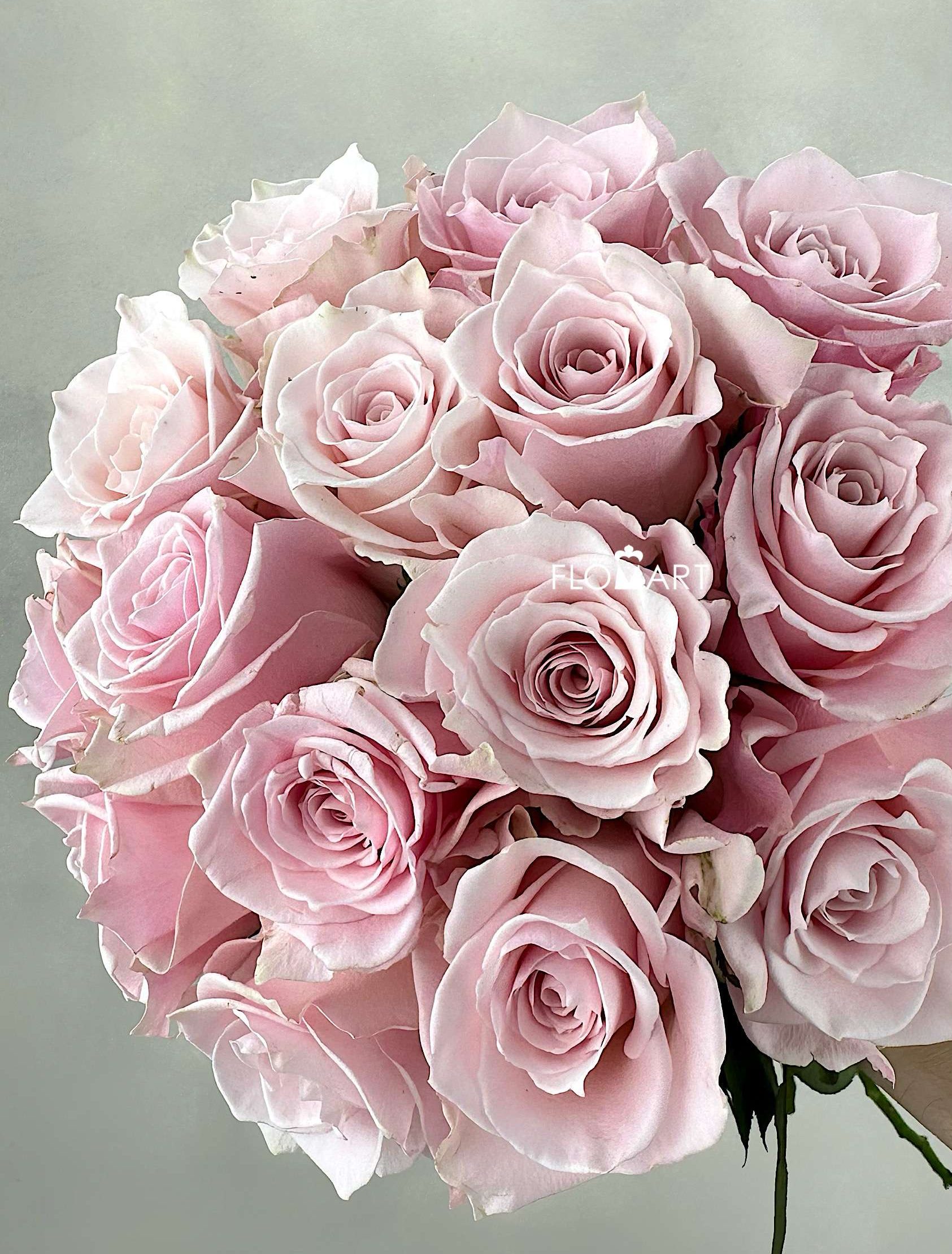 Rosa Pink Cloud - Image 1