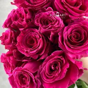 Rosa Full Monty