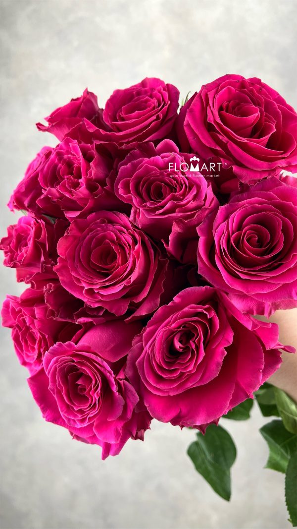 Rosa Full Monty