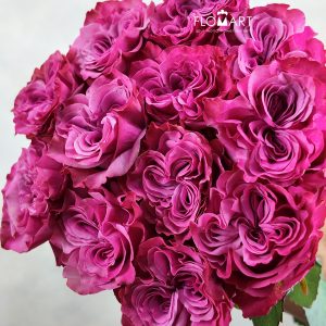 Rosa Garden Country Blues