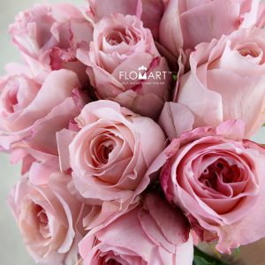 Rosa Garden Mayra Bridal Pink