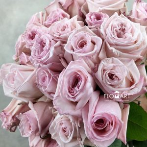 Rosa Garden Pink O Hara