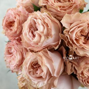 Rosa Garden Princess Crown