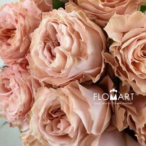 Rosa Garden Princess Crown - Image 2
