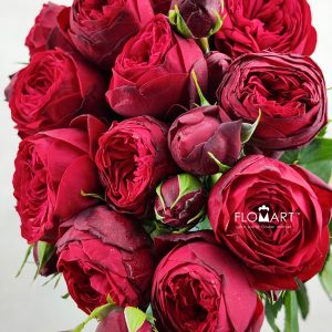 Rosa Garden Red Piano